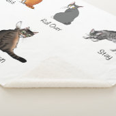 Kat Opdrachten Sherpa Deken (3/4)