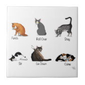 Kat Opdrachten Tegeltje (Voorkant)