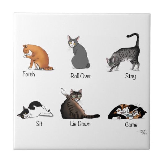 Kat Opdrachten Tegeltje (Voorkant)
