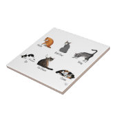 Kat Opdrachten Tegeltje (Zijkant)