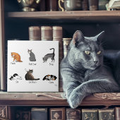 Kat Opdrachten Tegeltje