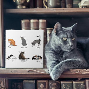 Kat Opdrachten Tegeltje