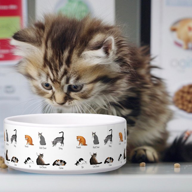 Kat Opdrachten Voerbakje (Creator heeft geüpload)