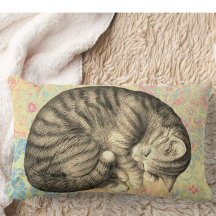 Kat opgekruld slapen op quilt schattig gezellig