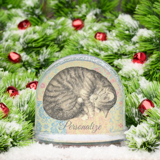 Kat opgekruld slapen op quilt schattig gezellig sneeuwbol (Kerstmis)