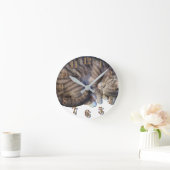 Kat opgerold slapen schattig gezellig ronde klok (Huis)