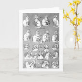 Kat, opleiding en huwelijk, Bride, Louis Wain Kaart (Gele Bloem)