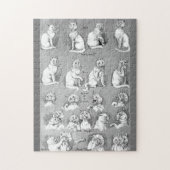 Kat, opleiding en huwelijk, Bride, Louis Wain Legpuzzel (Verticaal)