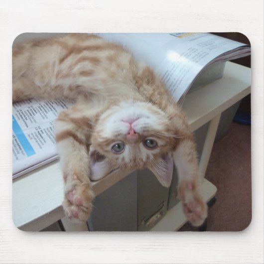 Kat opnieuw plaatsen muismat (Voorkant)