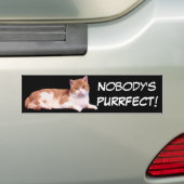 Kat Oranje en witte Bumpersticker (Op auto)
