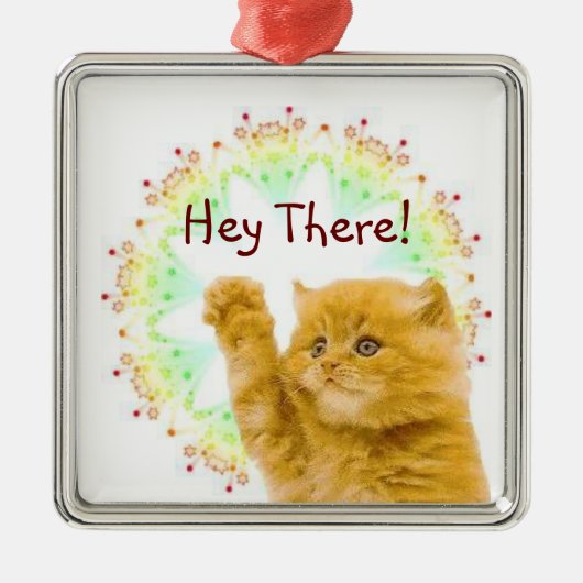 Kat Ornament (Voorkant)