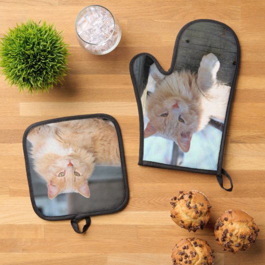 Kat Ovenwant & Pannenlap Set (Top down)