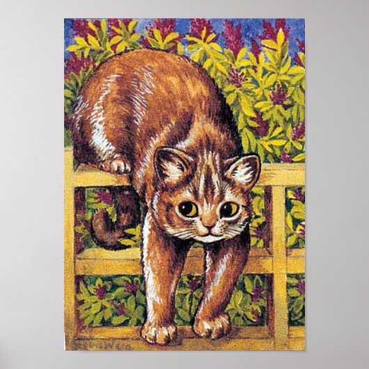 Kat over Fence, Louis Wain Poster (Voorkant)
