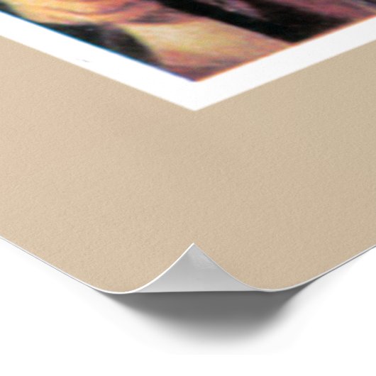 Kat over stad poster (Hoek)