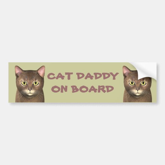 Kat papa aan boord bumpersticker (Voorkant)
