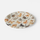 Kat Paper Bord (Gekanteld)