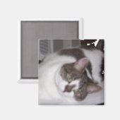 Kat Paperweight Magnet (Voorkant / Achterkant)