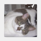 Kat Paperweight Magnet (Voorkant)