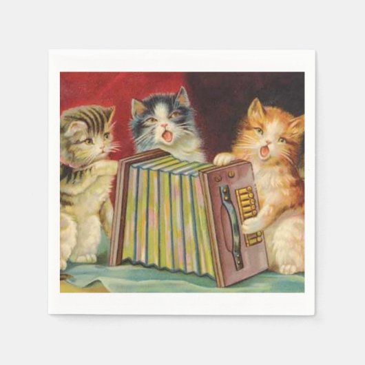  Kat papier, servetten (Voorkant)