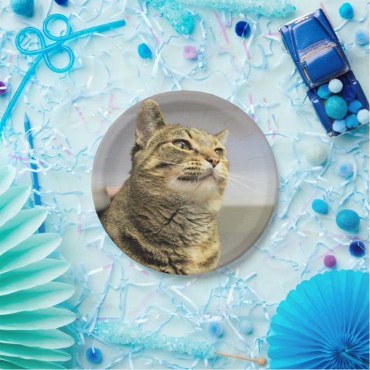 Kat Papieren Bordje (Feest)