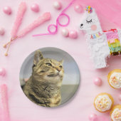 Kat Papieren Bordje (Feest)