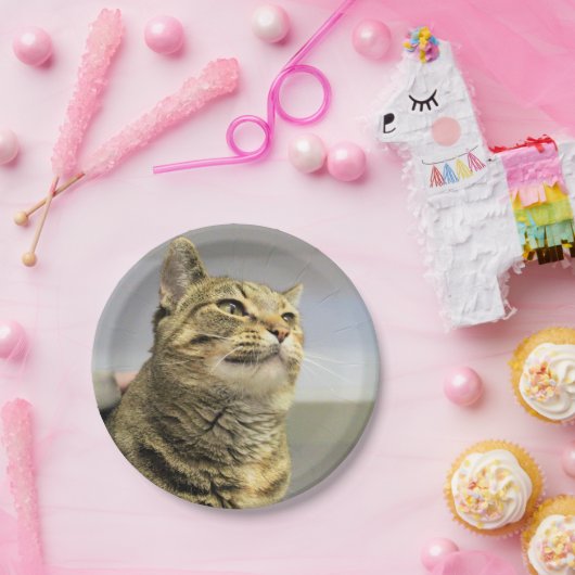 Kat Papieren Bordje (Feest)