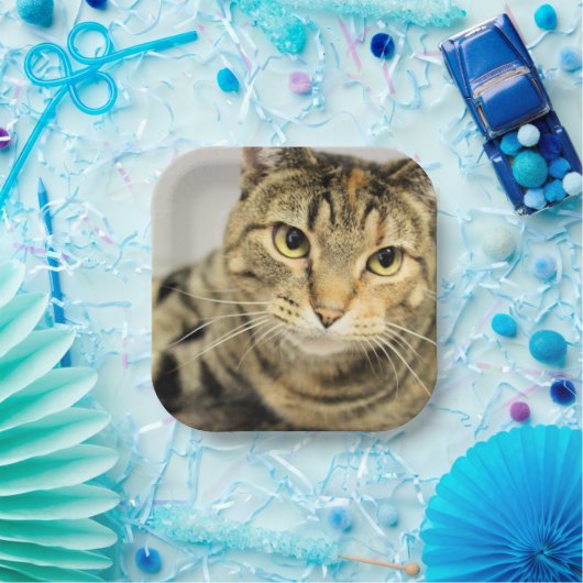 Kat Papieren Bordje (Feest)