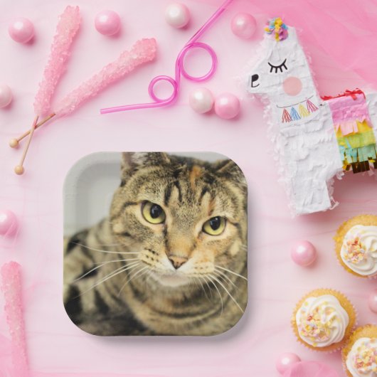 Kat Papieren Bordje (Feest)