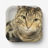 Kat Papieren Bordje (Voorkant)