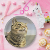 Kat Papieren Bordje (Feest)