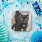 Kat Papieren Bordje (Feest)