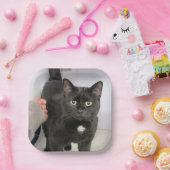 Kat Papieren Bordje (Feest)