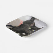 Kat Papieren Bordje (Gebogen)