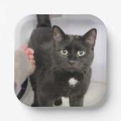 Kat Papieren Bordje (Voorkant)