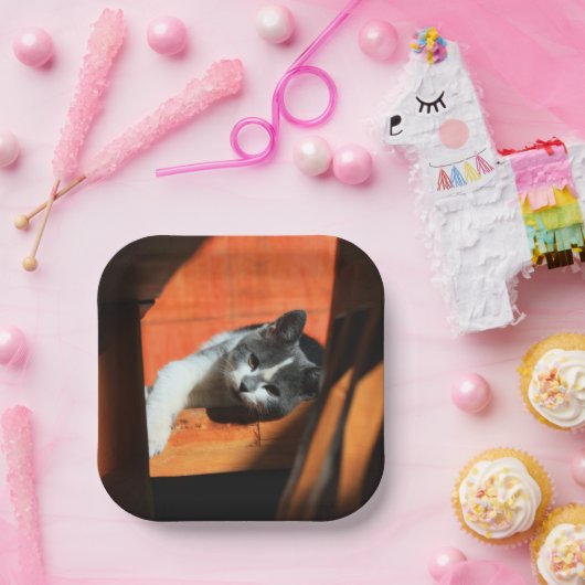 Kat Papieren Bordje (Feest)