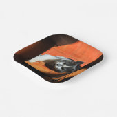 Kat Papieren Bordje (Gebogen)