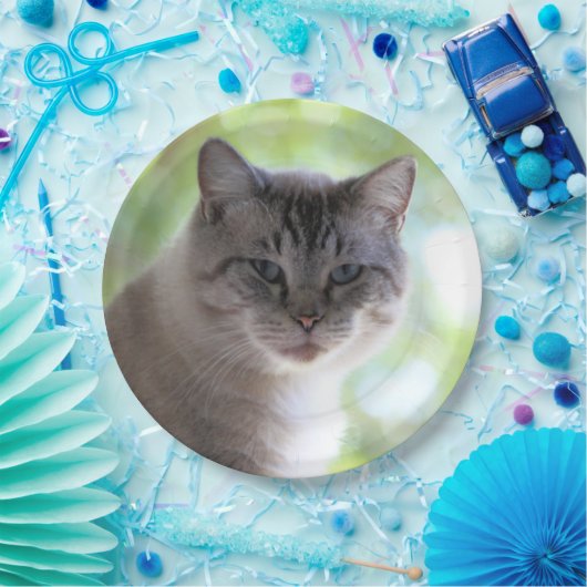 Kat Papieren Bordje (Feest)