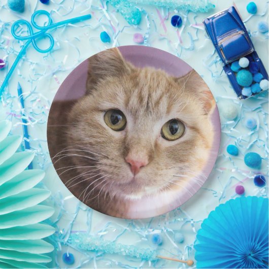 Kat Papieren Bordje (Feest)