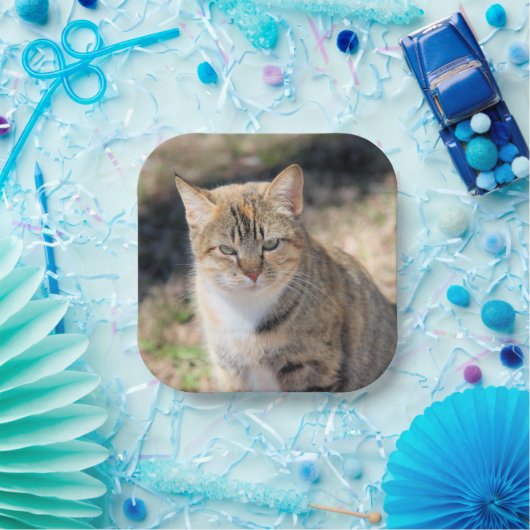 Kat Papieren Bordje (Feest)