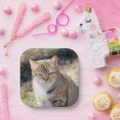 Kat Papieren Bordje (Feest)