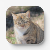 Kat Papieren Bordje (Voorkant)