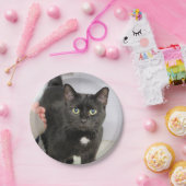 Kat Papieren Bordje (Feest)