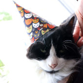 Kat-partij Feesthoedjes