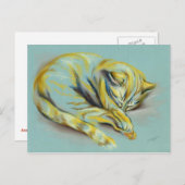 Kat pasta - Slaaptafel Kitten Briefkaart (Voorkant / Achterkant)