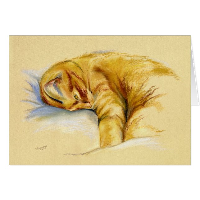 Kat Pastel - Oranje tablet - Relaxed Pose (Voorkant Horizontaal)