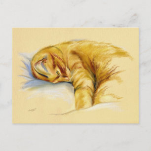 Kat Pastel - Oranje tablet - Relaxed Pose Briefkaart