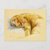 Kat Pastel - Oranje tablet - Relaxed Pose Briefkaart (Voorkant)