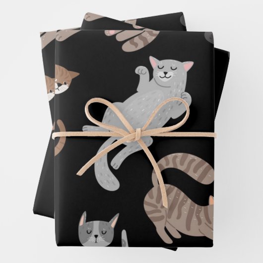 Kat patroon inpakpapier vel (In situ)