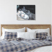 Kat Paw 20 x 16-inch robuust Canvas afdrukken (Insitu (Slaapkamer))