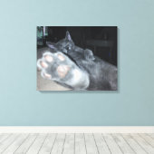 Kat Paw 20 x 16-inch robuust Canvas afdrukken (Insitu (Houten vloer))